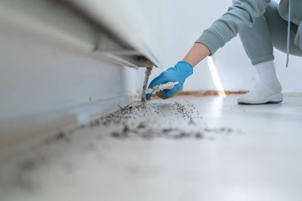Pest Control Cost in Fairdale, PA